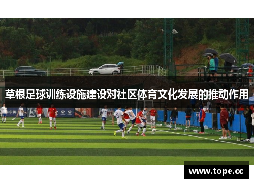 草根足球训练设施建设对社区体育文化发展的推动作用