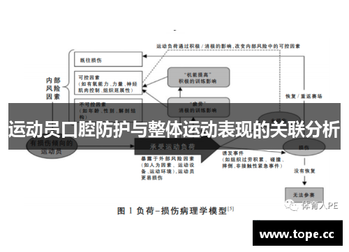 运动员口腔防护与整体运动表现的关联分析